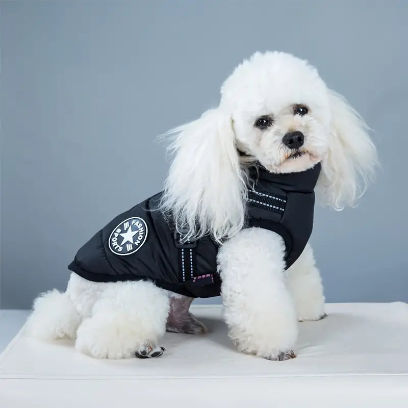 LAVISH DOG JACKET - 50% OFF + FREE SHIPPING LAST DAY PROMOTION