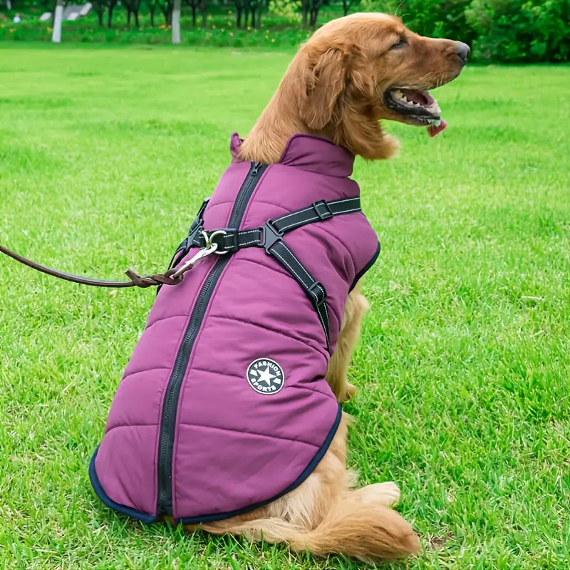 LAVISH DOG JACKET - 50% OFF + FREE SHIPPING LAST DAY PROMOTION