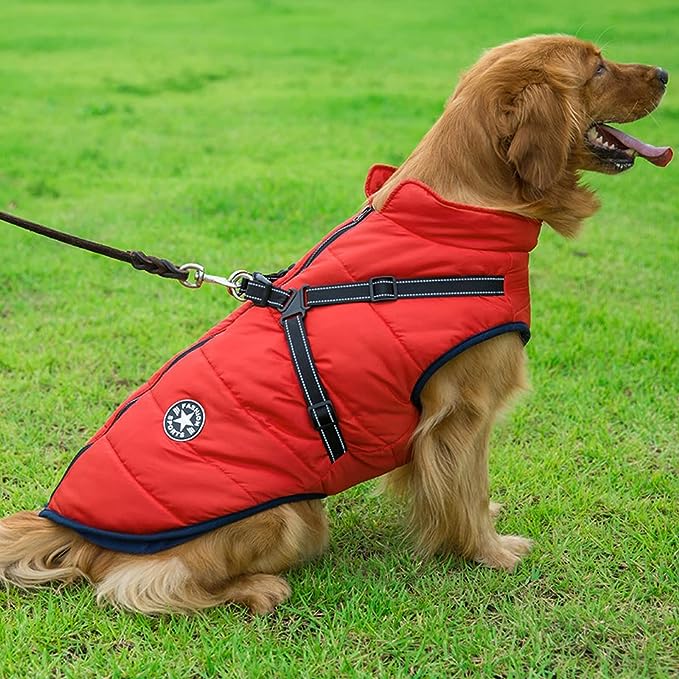 LAVISH DOG JACKET - 50% OFF + FREE SHIPPING LAST DAY PROMOTION