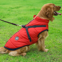 Thumbnail for LAVISH DOG JACKET - 50% OFF + FREE SHIPPING LAST DAY PROMOTION