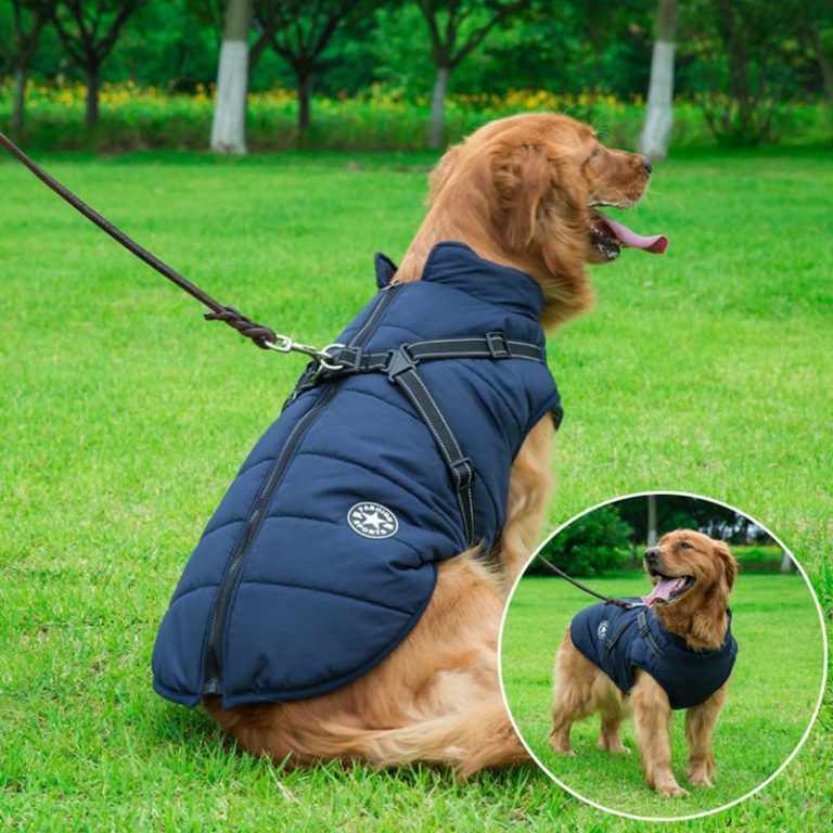 LAVISH DOG JACKET - 50% OFF + FREE SHIPPING LAST DAY PROMOTION