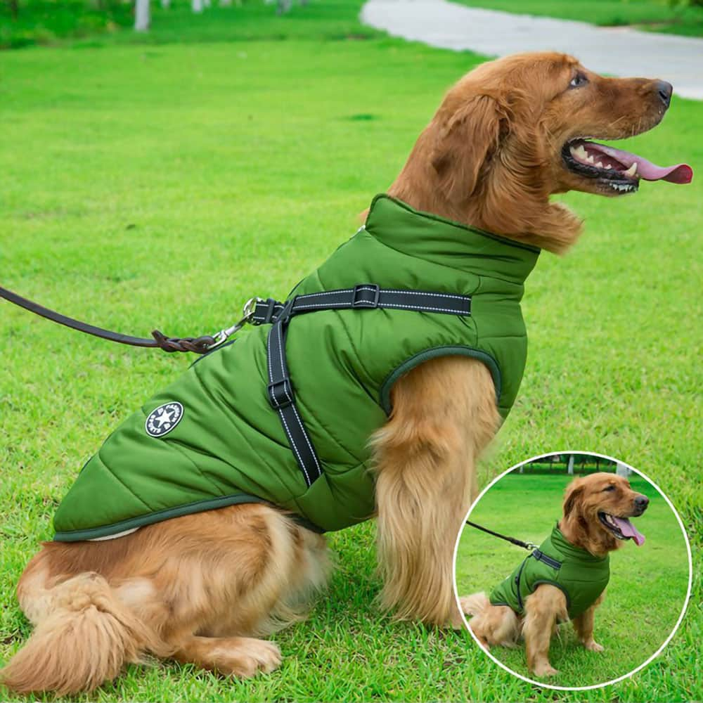 LAVISH DOG JACKET - 50% OFF + FREE SHIPPING LAST DAY PROMOTION