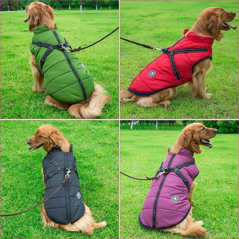 LAVISH DOG JACKET - 50% OFF + FREE SHIPPING LAST DAY PROMOTION