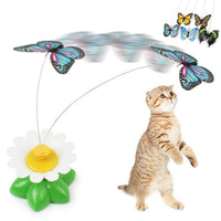 Thumbnail for Happy Cat Play Butterfly